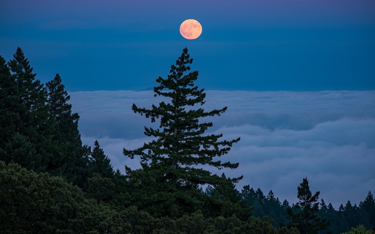 Красная Луна Эстетика