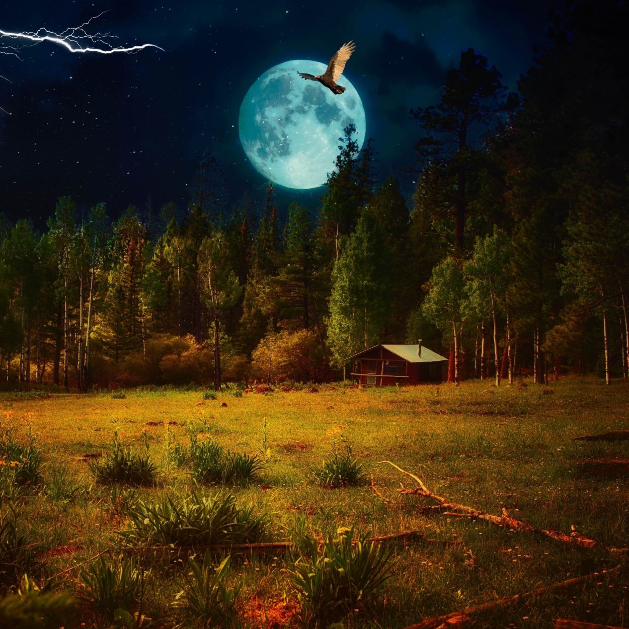 Луна и озеро