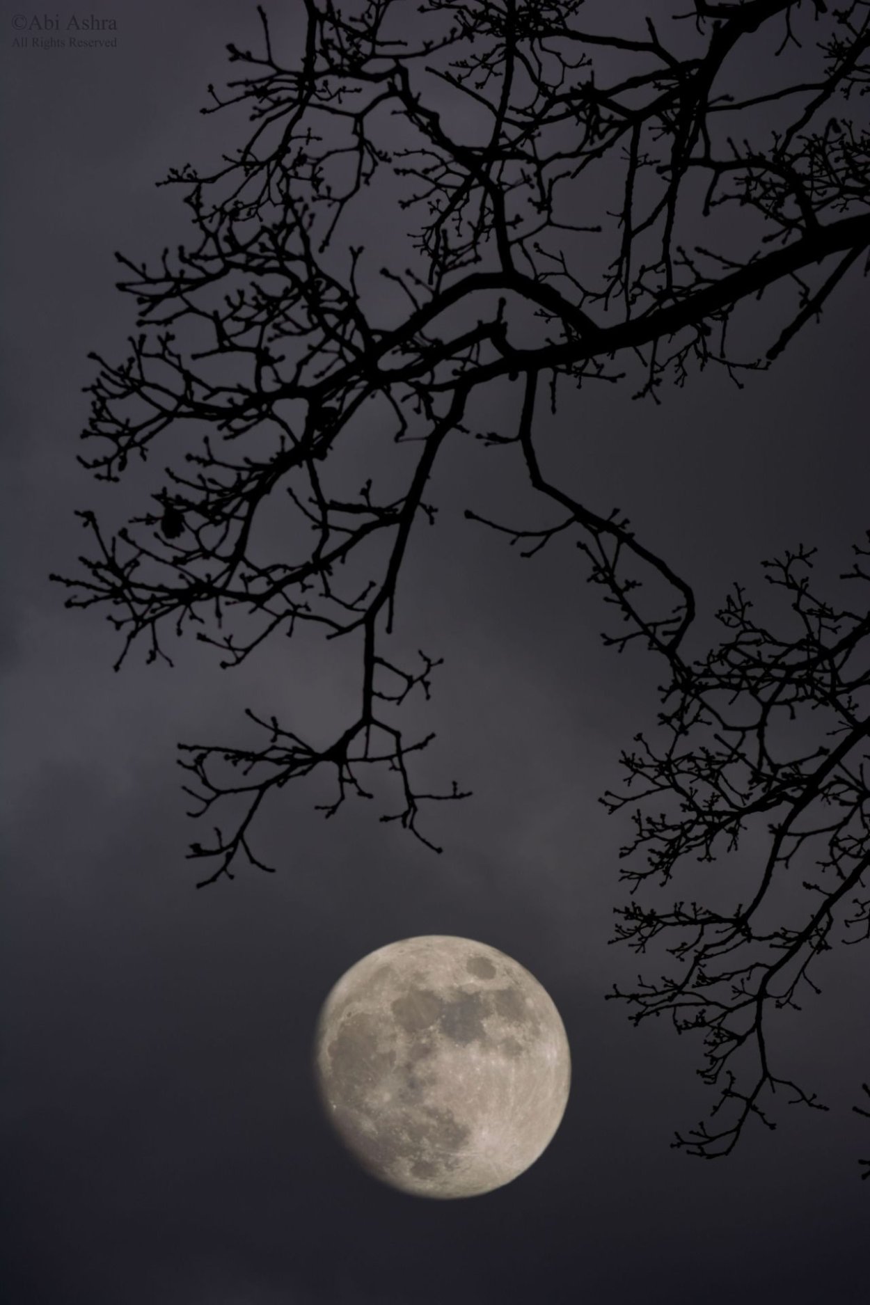 Ночь полнолуние