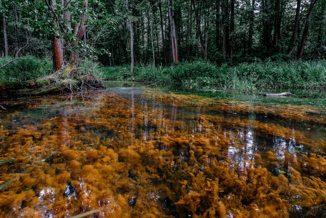 Болото Муклесаз