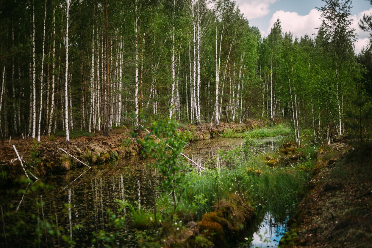 Болото Моховое Белгородская область