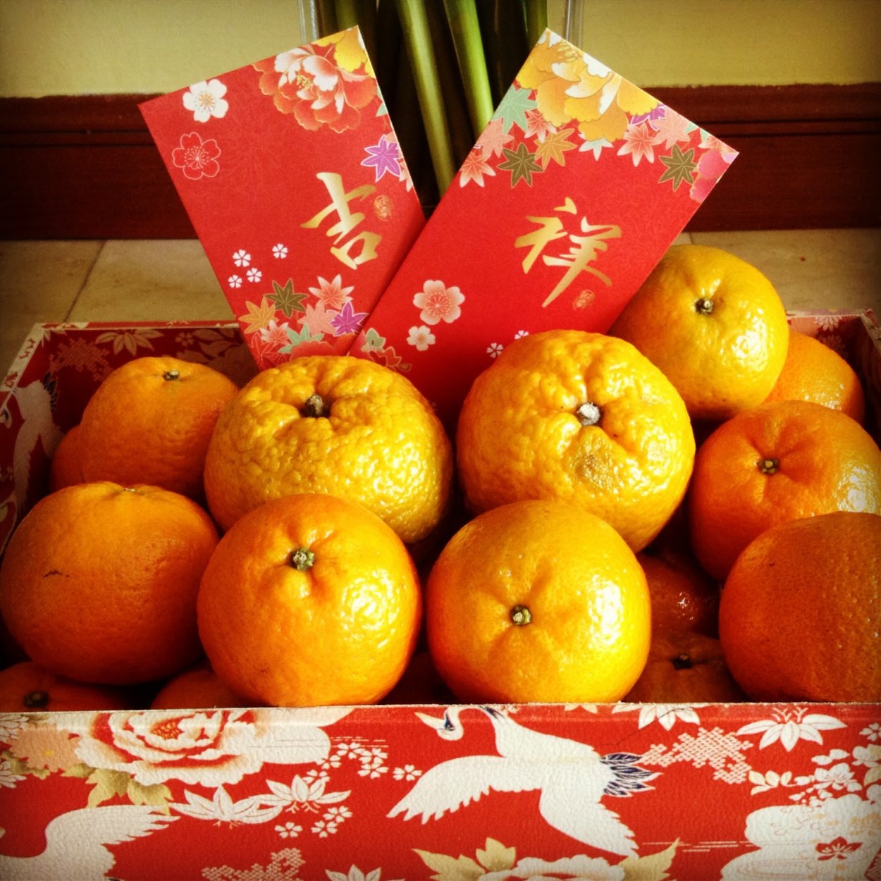 Апельсиновая плантация Сицилия