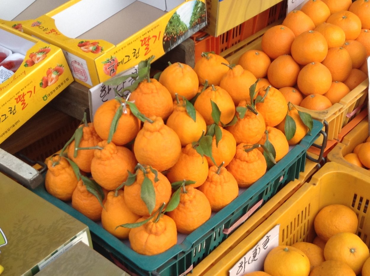 Остров Чеджу мандарины