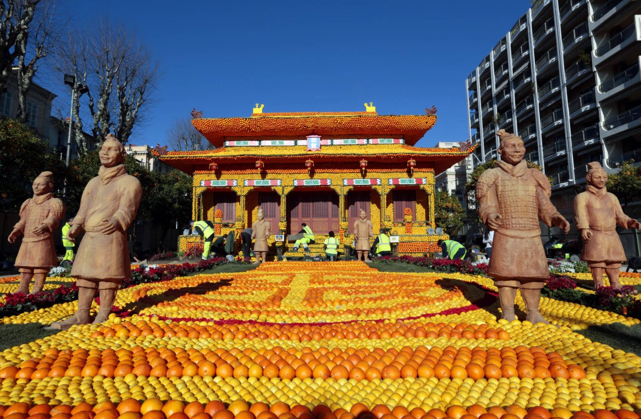 Плантации апельсинов Индии