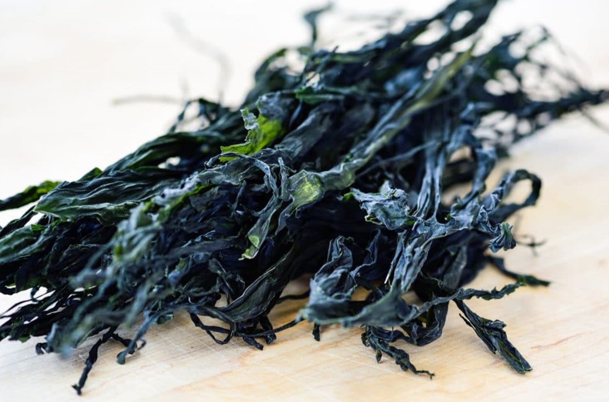 Нематофитовые водоросли