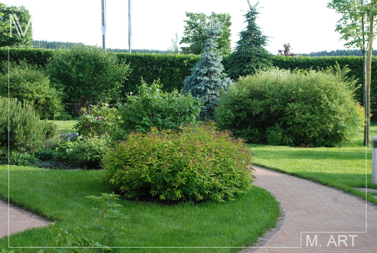 Ива памяти Миндовского