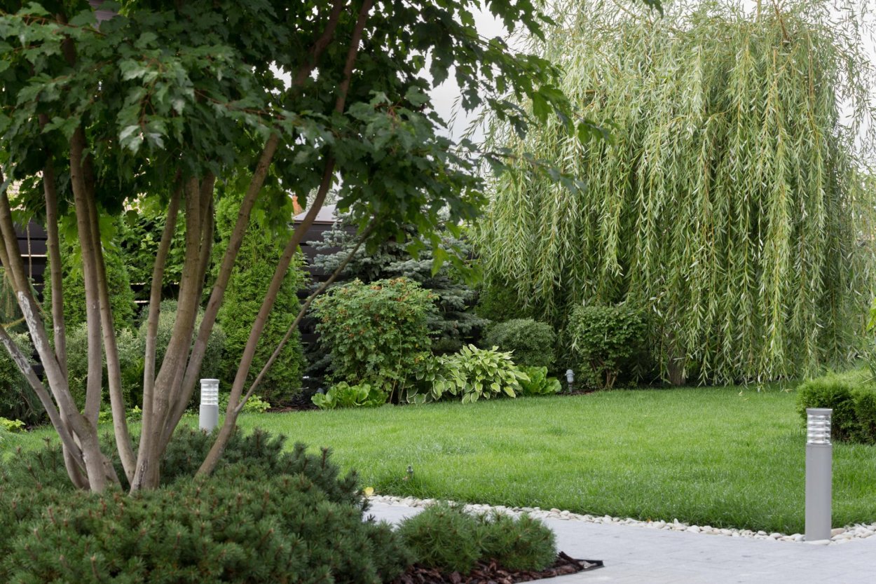 Ниваки Джейк Хобсон