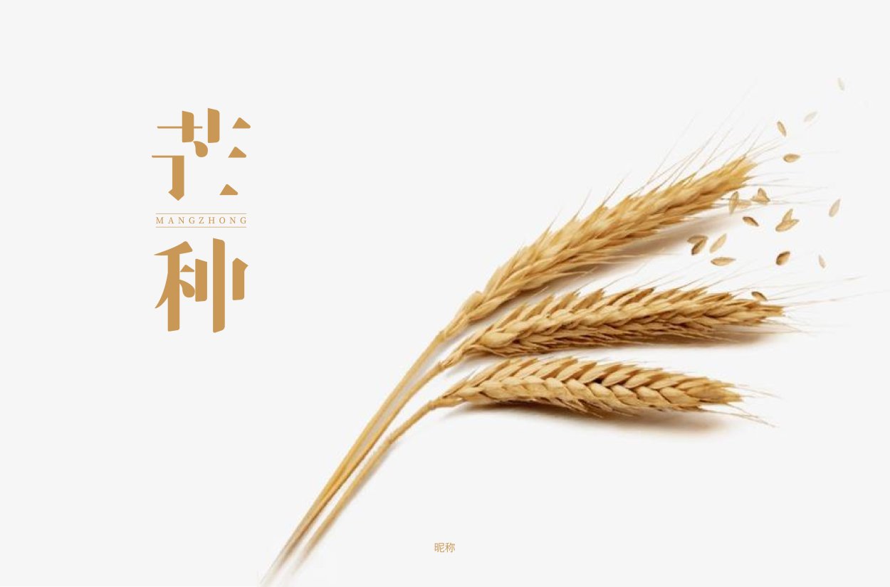 Колосья пшеницы