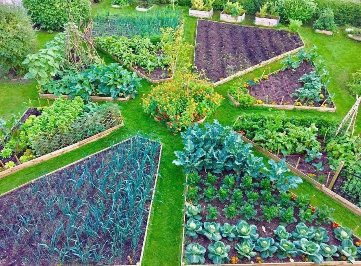 Деккоративный город в цвете