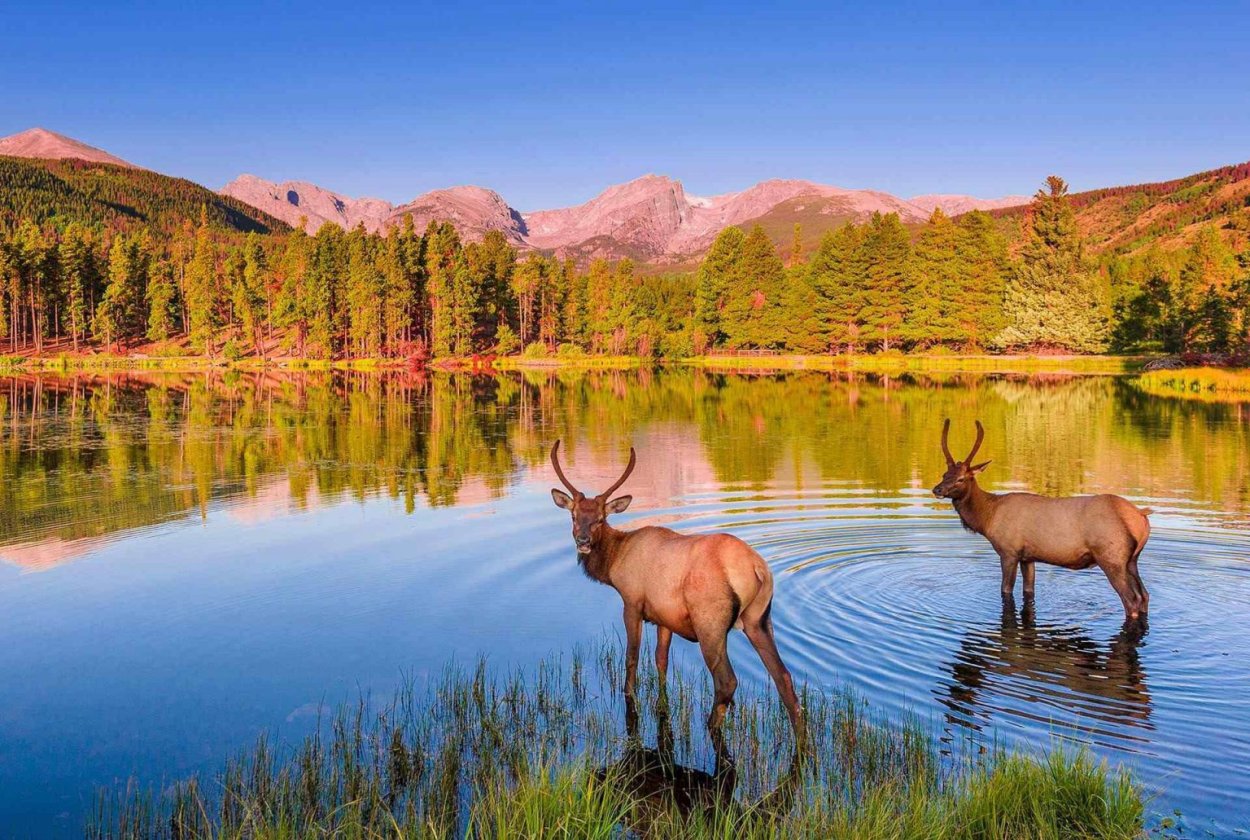 Необычные путешествия