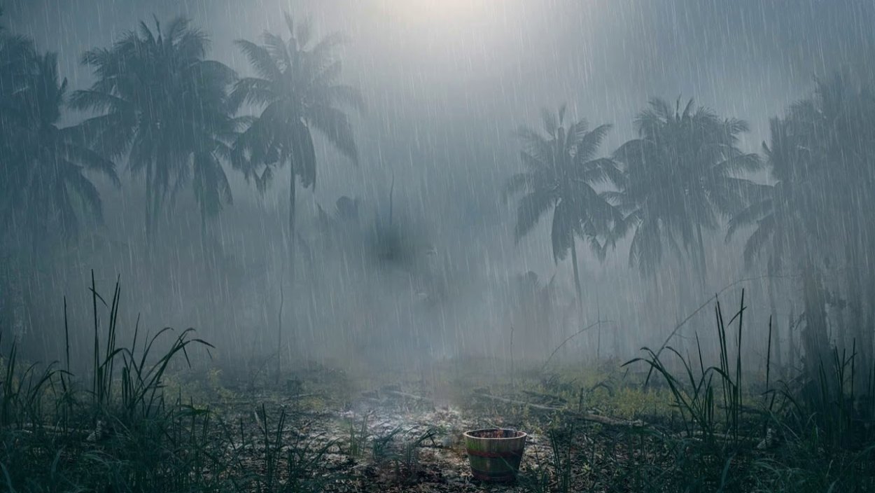 Тропический дождь