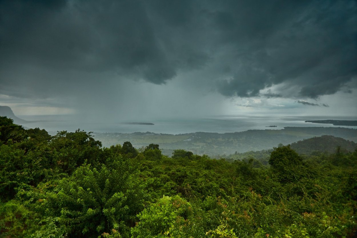Тропический дождь