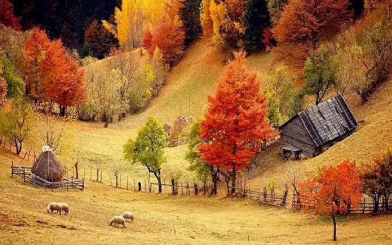 Сказочная осень