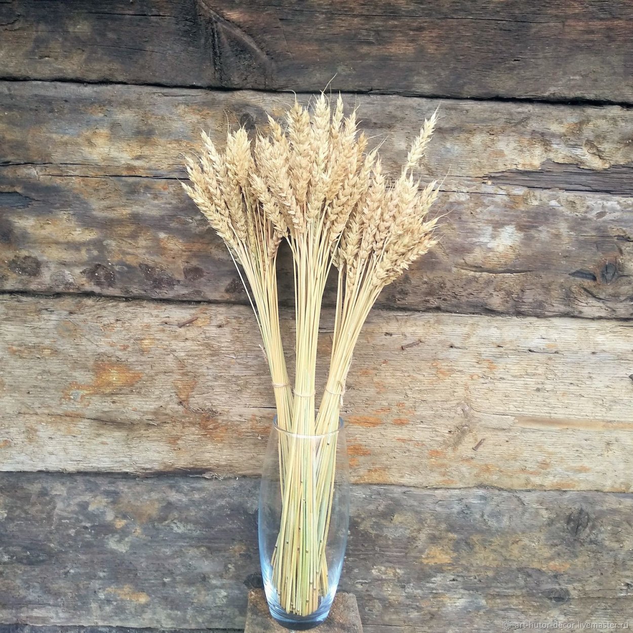 Oat Stalks