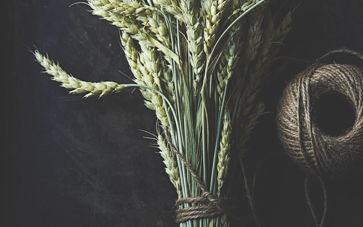 Экибана из пшеницы