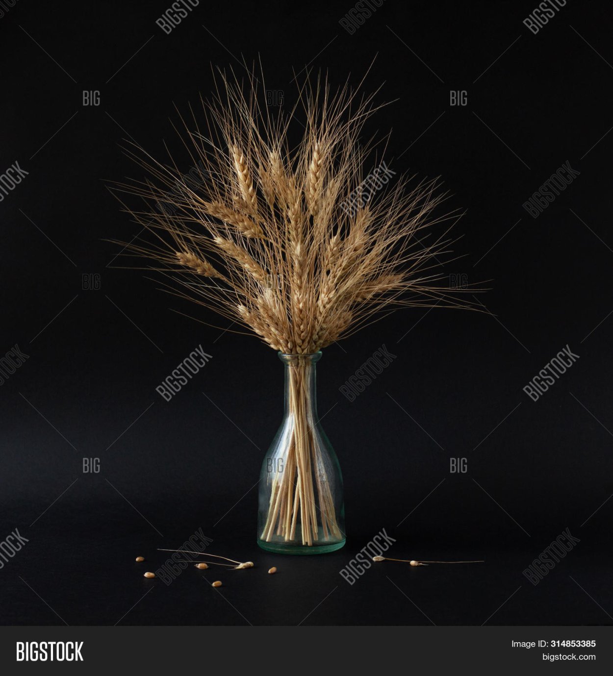 Букет сухоцветов "пшеница"