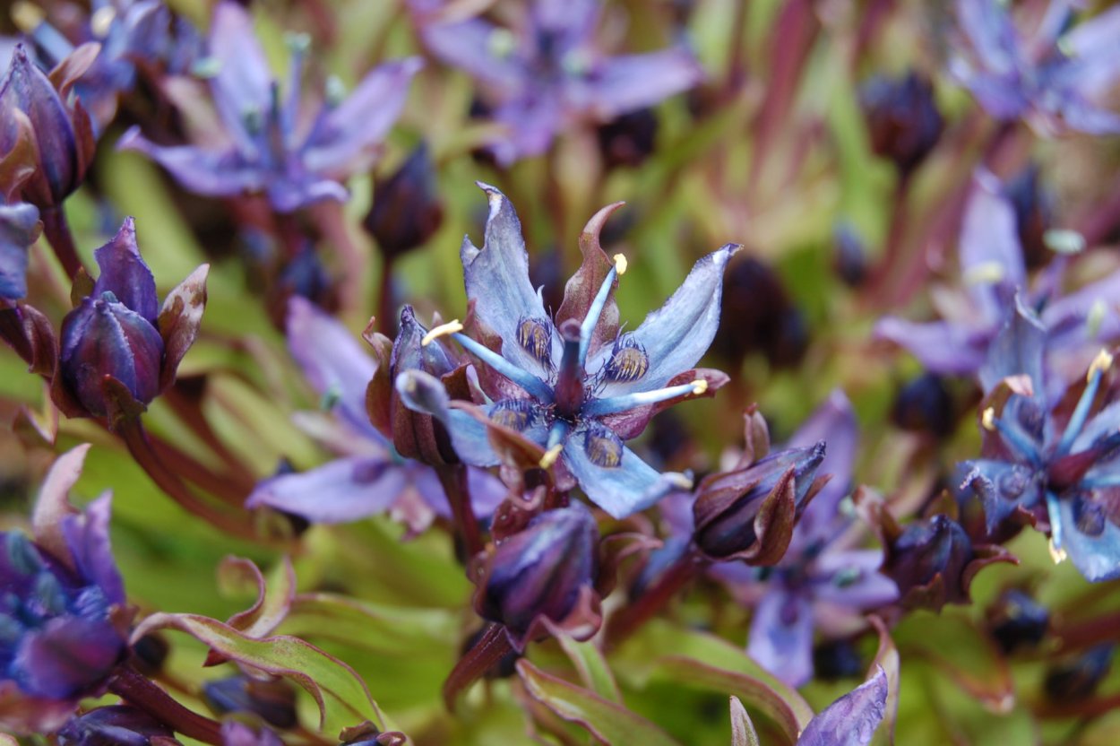 Сверция национальные парки