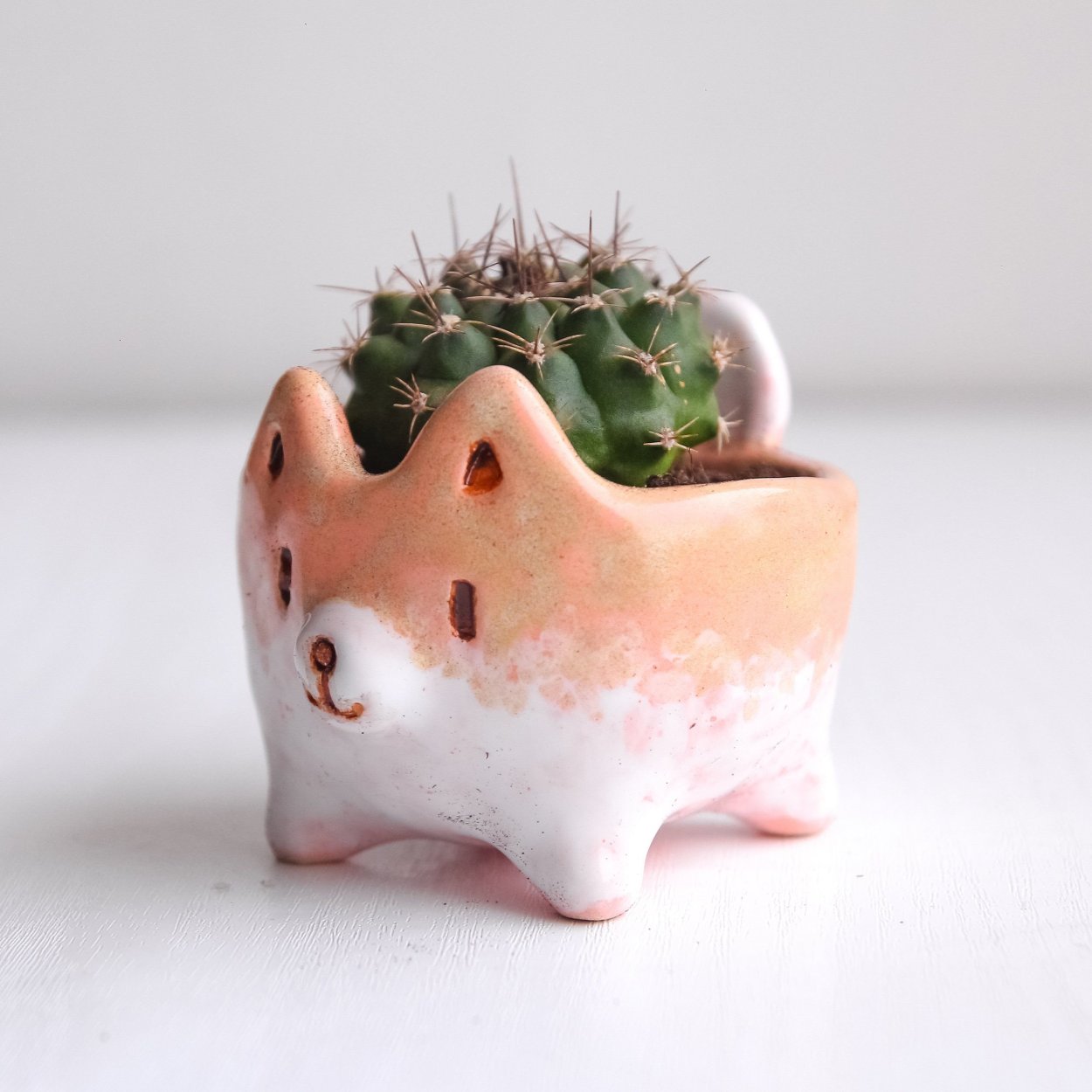 Горшки для цветов из глины