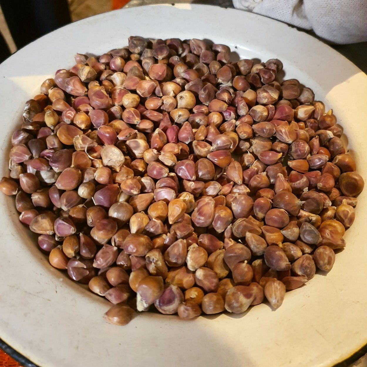 Чеснок Полесский