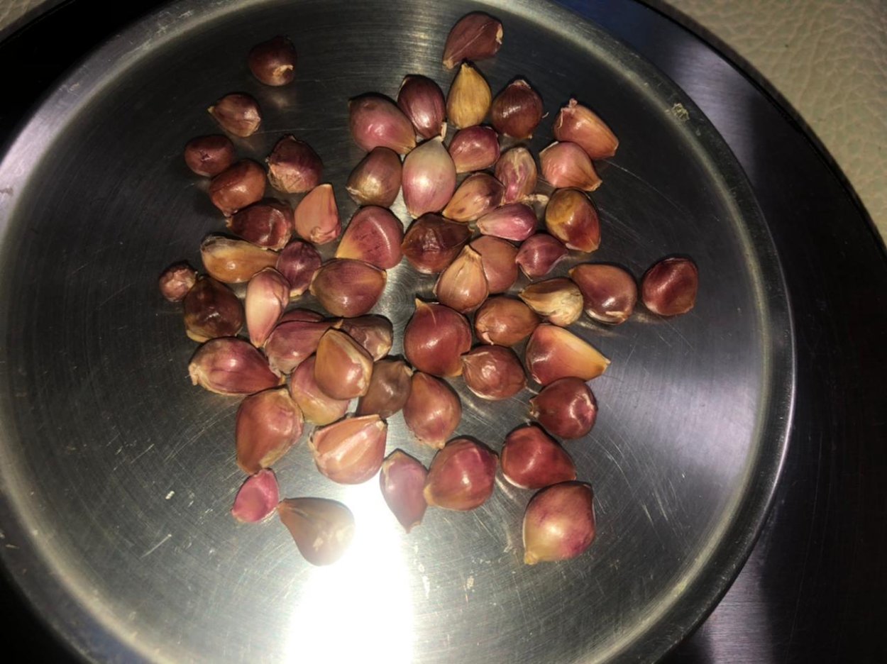 Посадочный материал чеснока