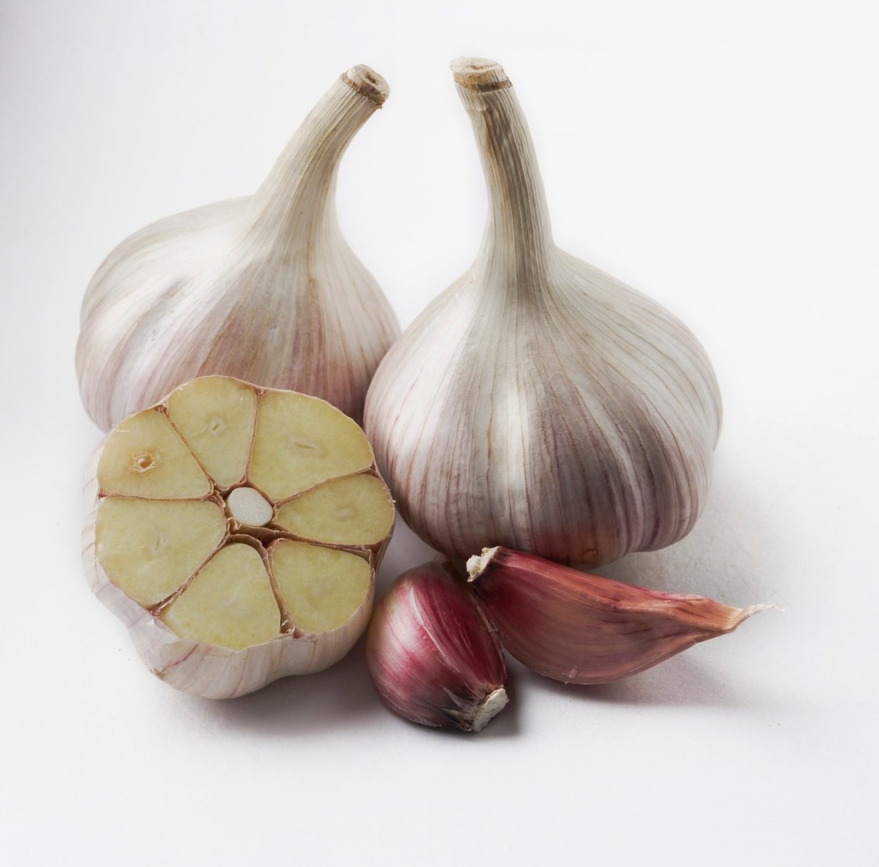 Семена чеснока воздушка Однозубка сорт