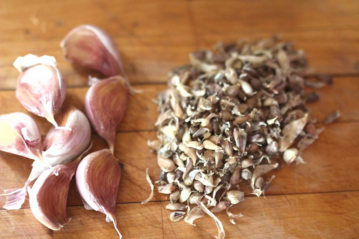 Семена чеснока Любаша