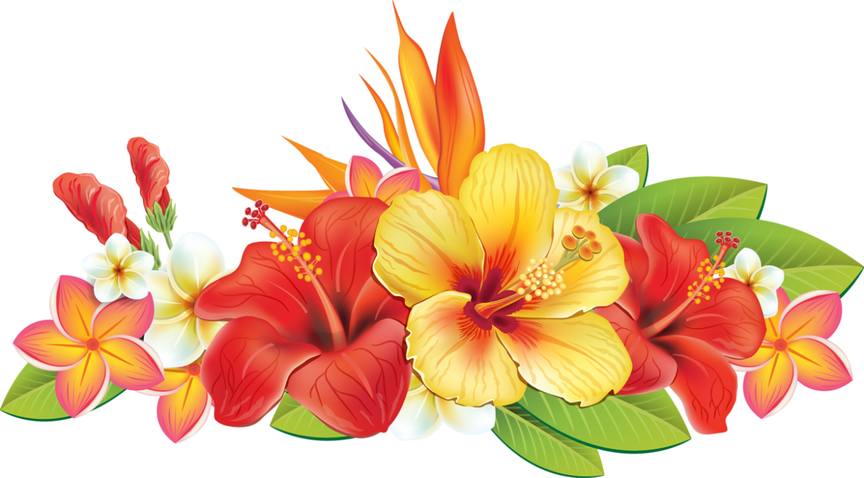 Яркие цветочки на прозрачном фоне