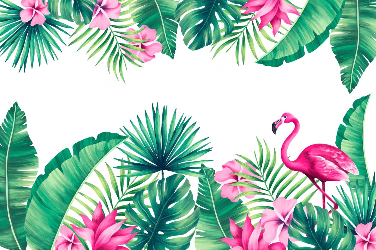 Тропические растения Фламинго