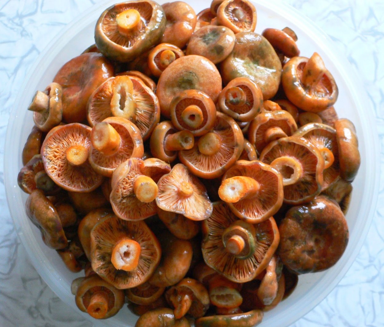 Чертеж коробки передач Газель 3302