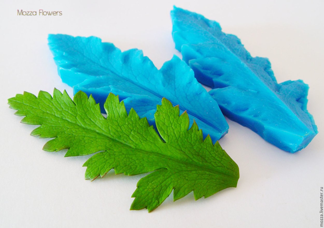 Вайнер лист мака