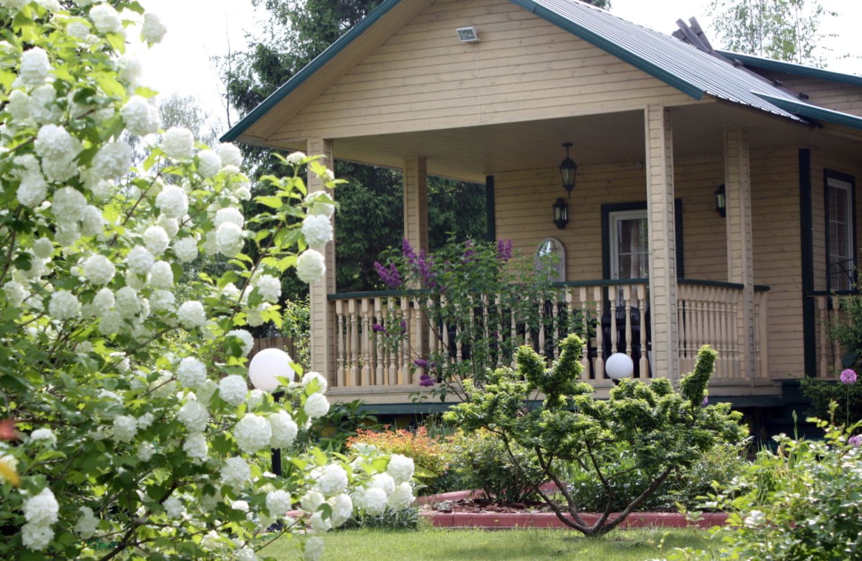 Цветы акварель художник Darryl Trott