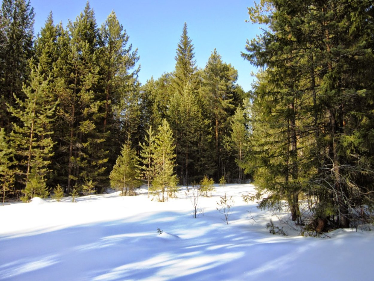 Porn-w.org Yulia Nova