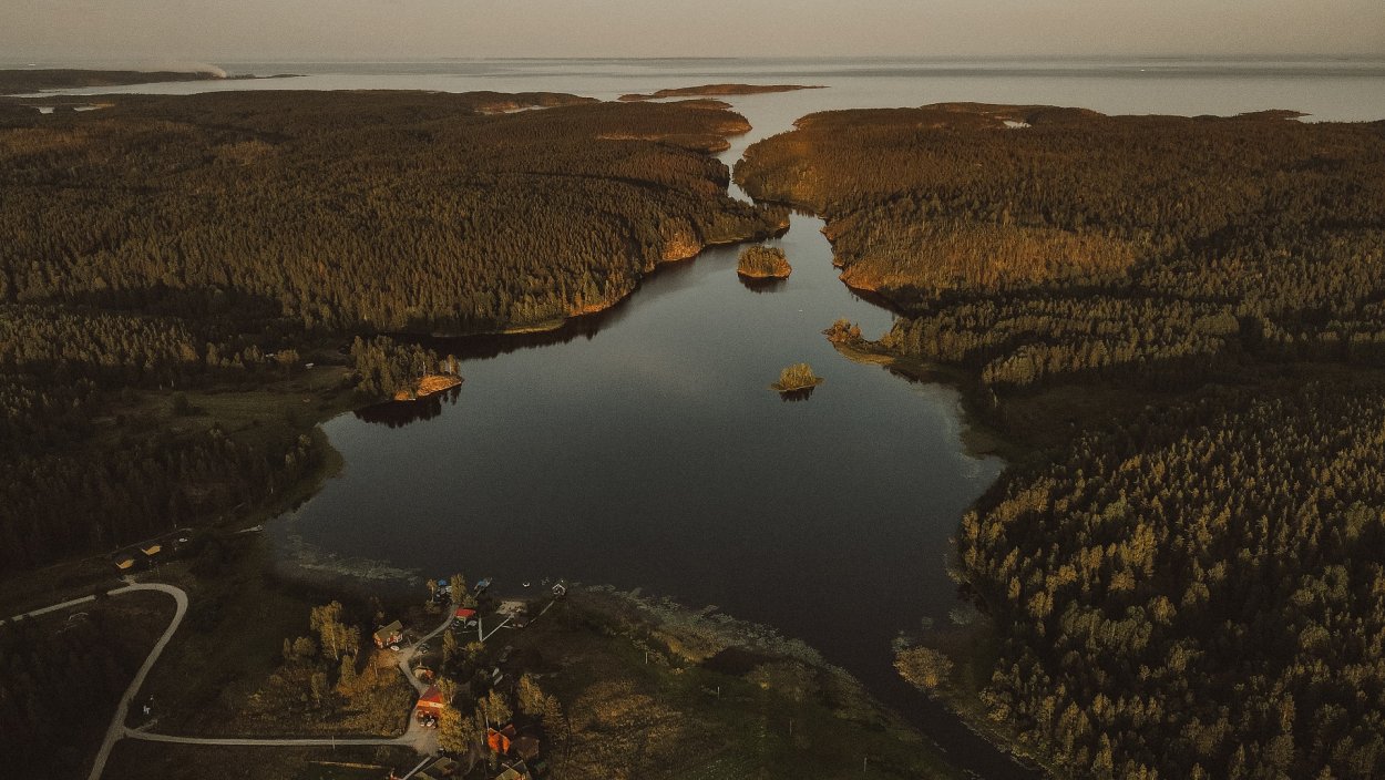 Дорога и лес вид сверху сбоку