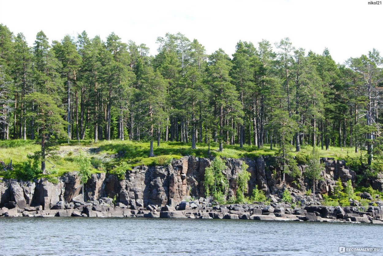 Пейзаж море лес