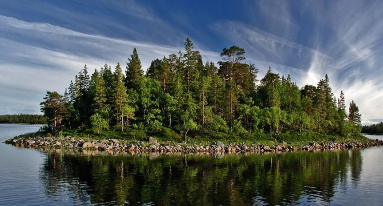 Лопасненский еловый остров