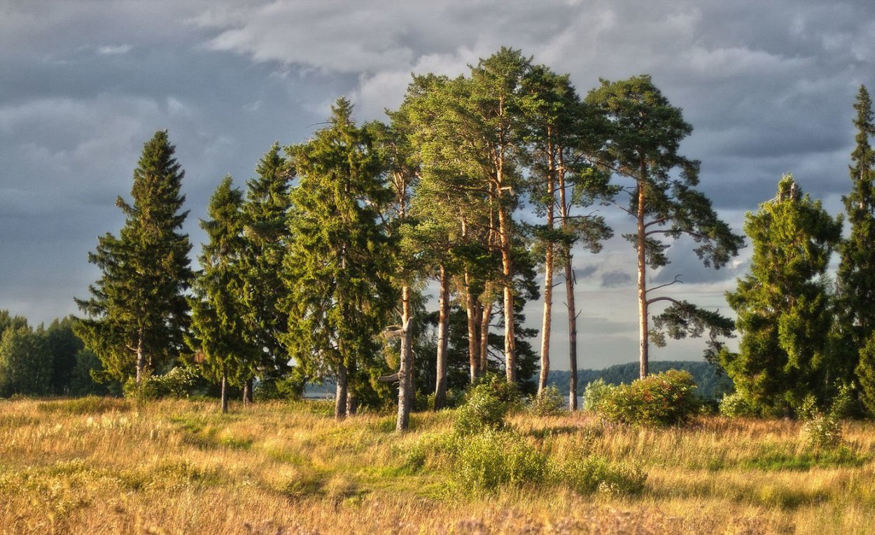 Озеро Вонгозеро Карелия