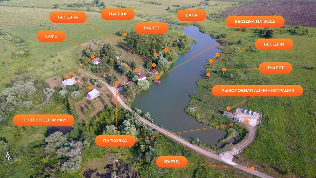 Сибирский Кедровый лес