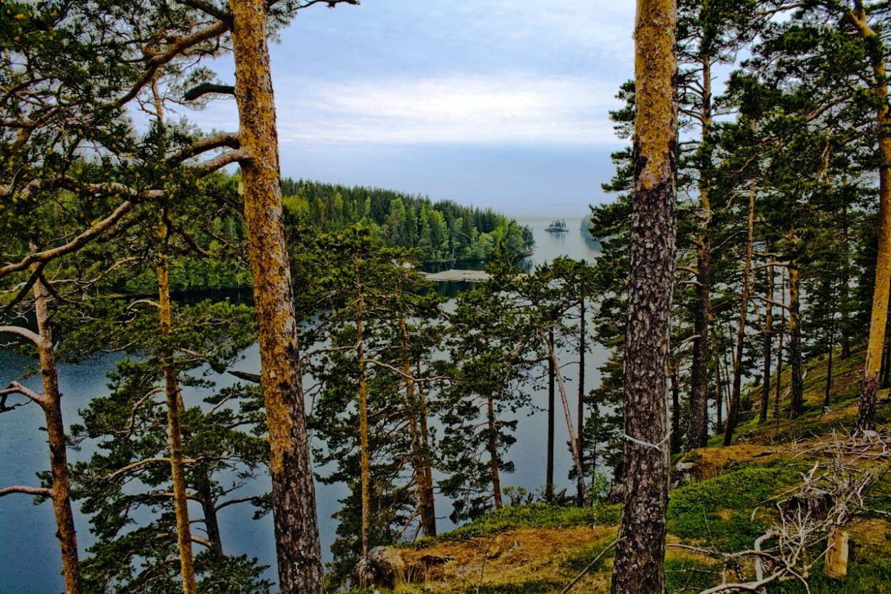 Сумостров остров