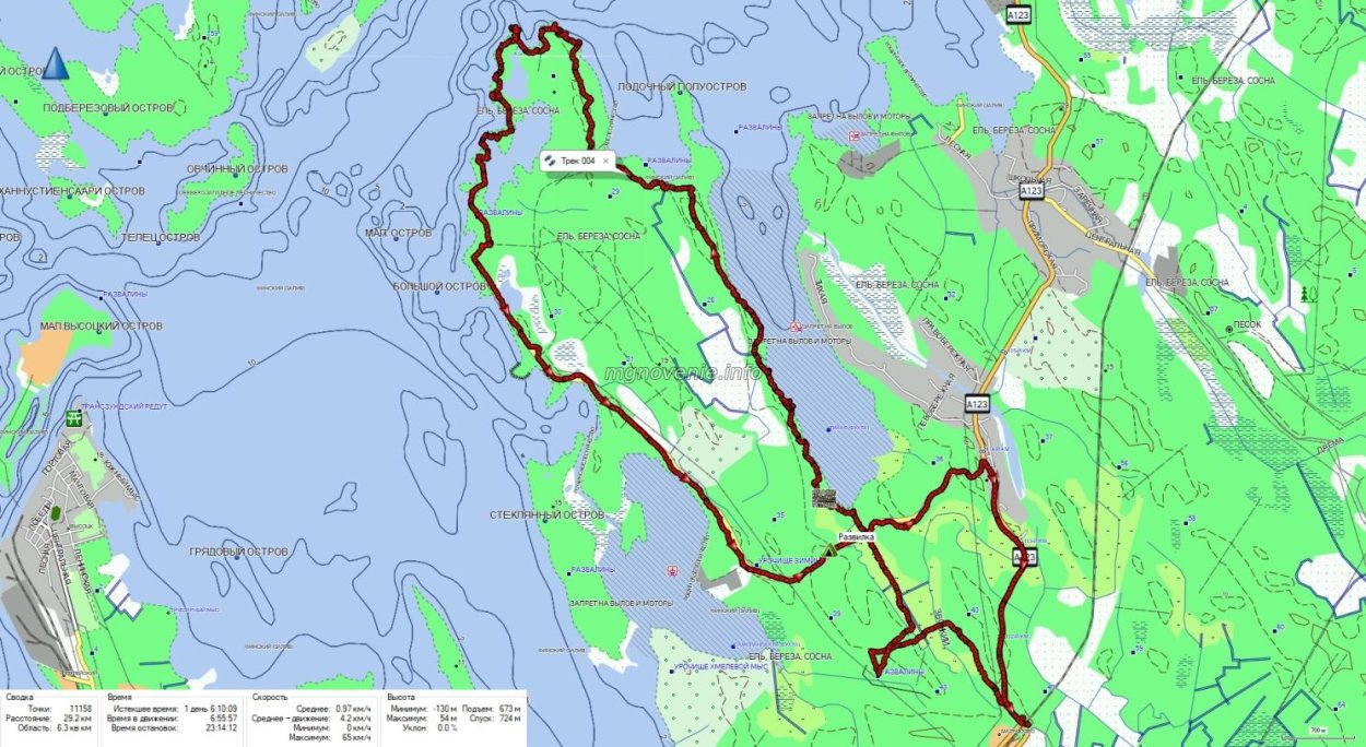 Сосна на Валааме