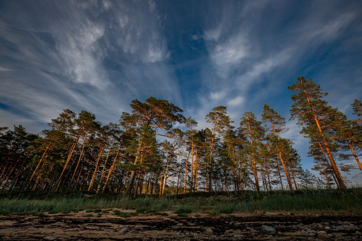 Остров Бакур