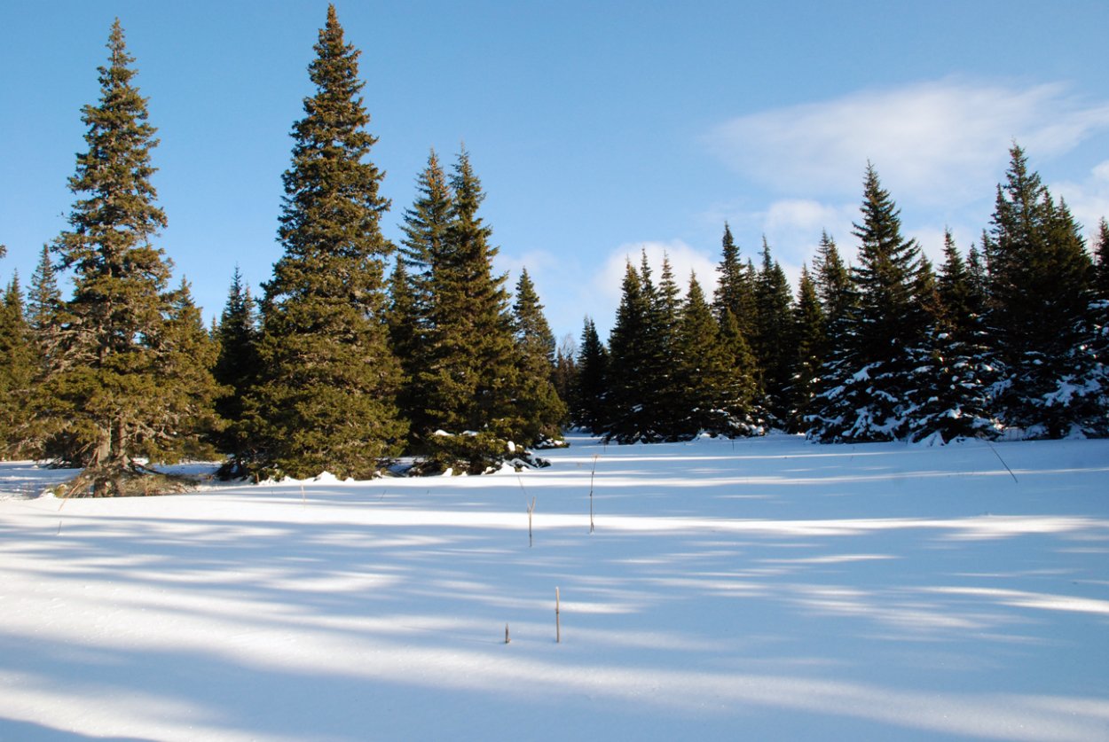 Река Нерская Куровское