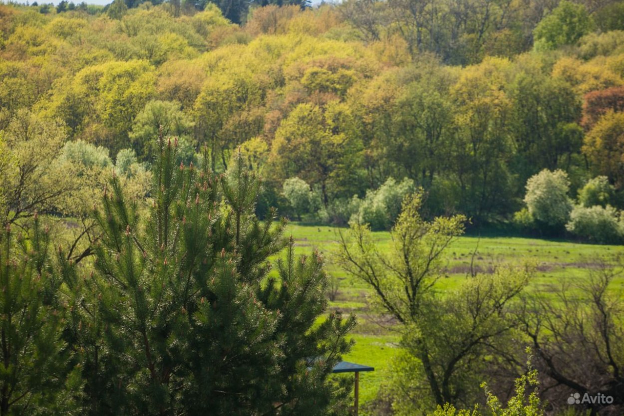 Озеро Луково Московская Ногинск