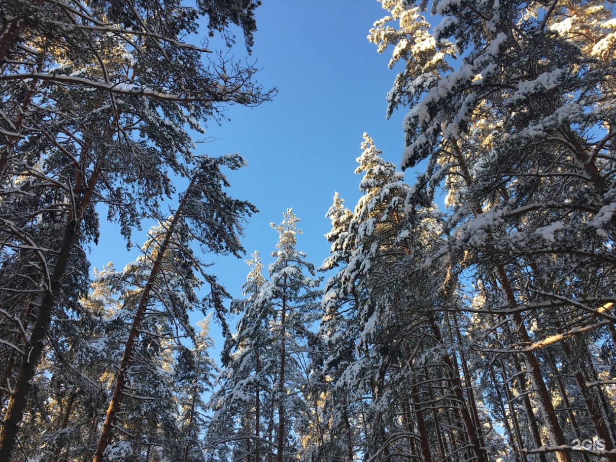 Осаповы острова Юрьевец