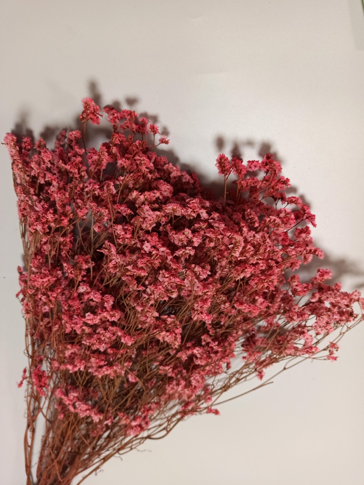 Цветок кермек лимониум