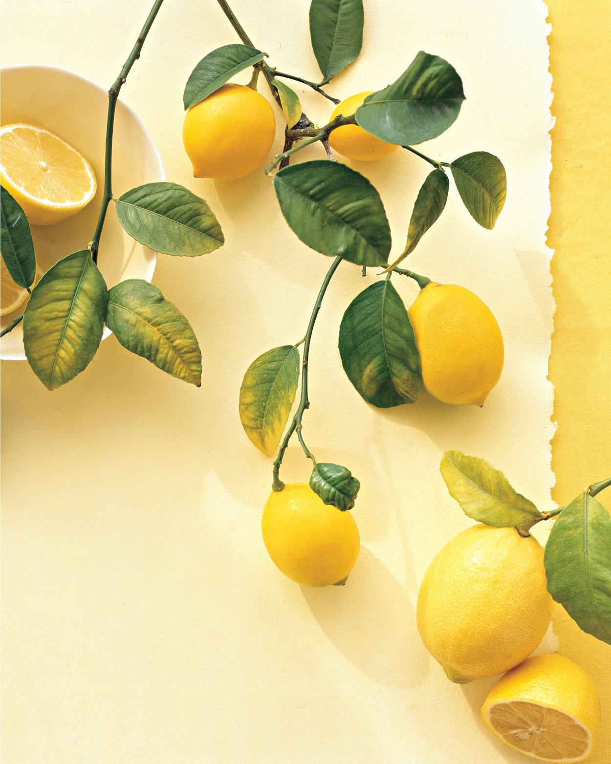 Красивые композиции с лимонами