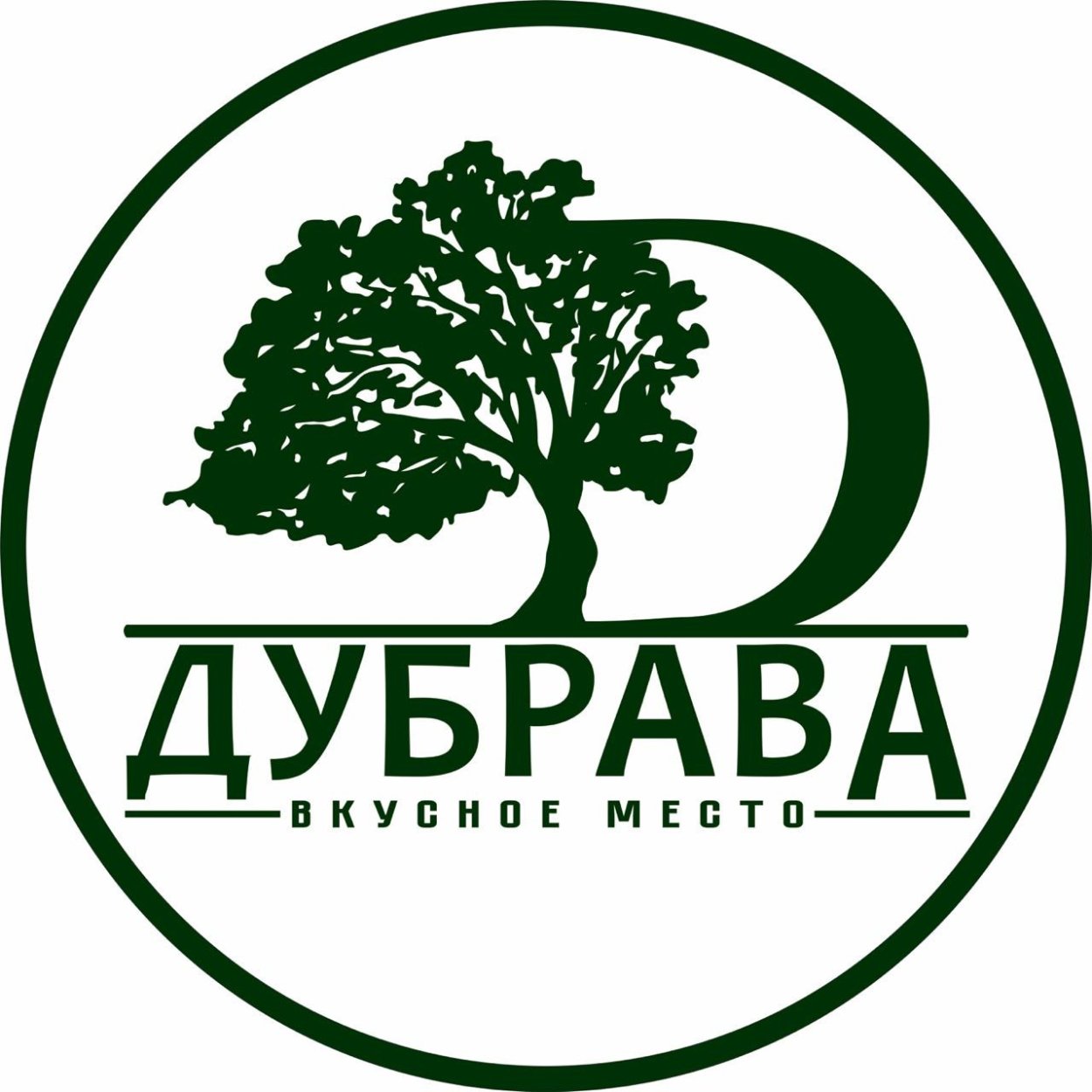 Вековой дуб Степана Разина