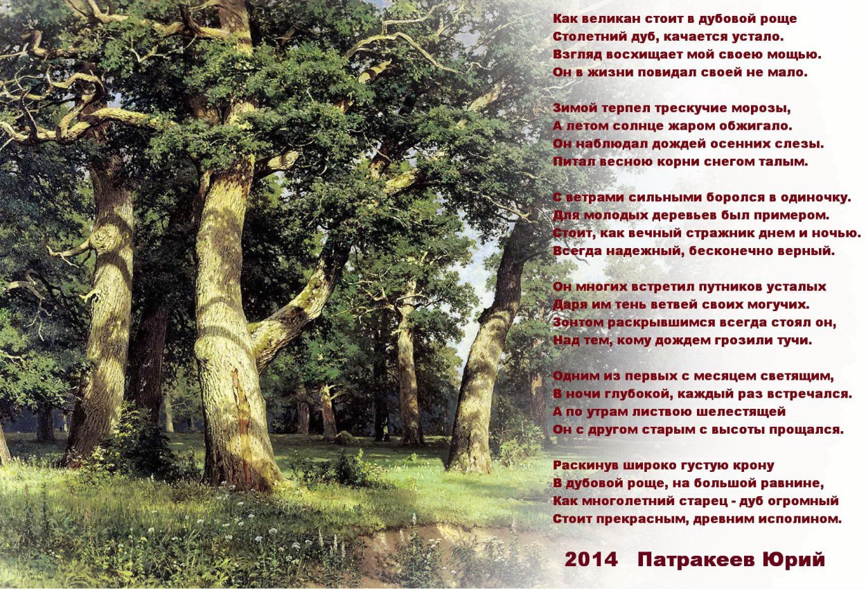 Широколиственные леса Дубрава