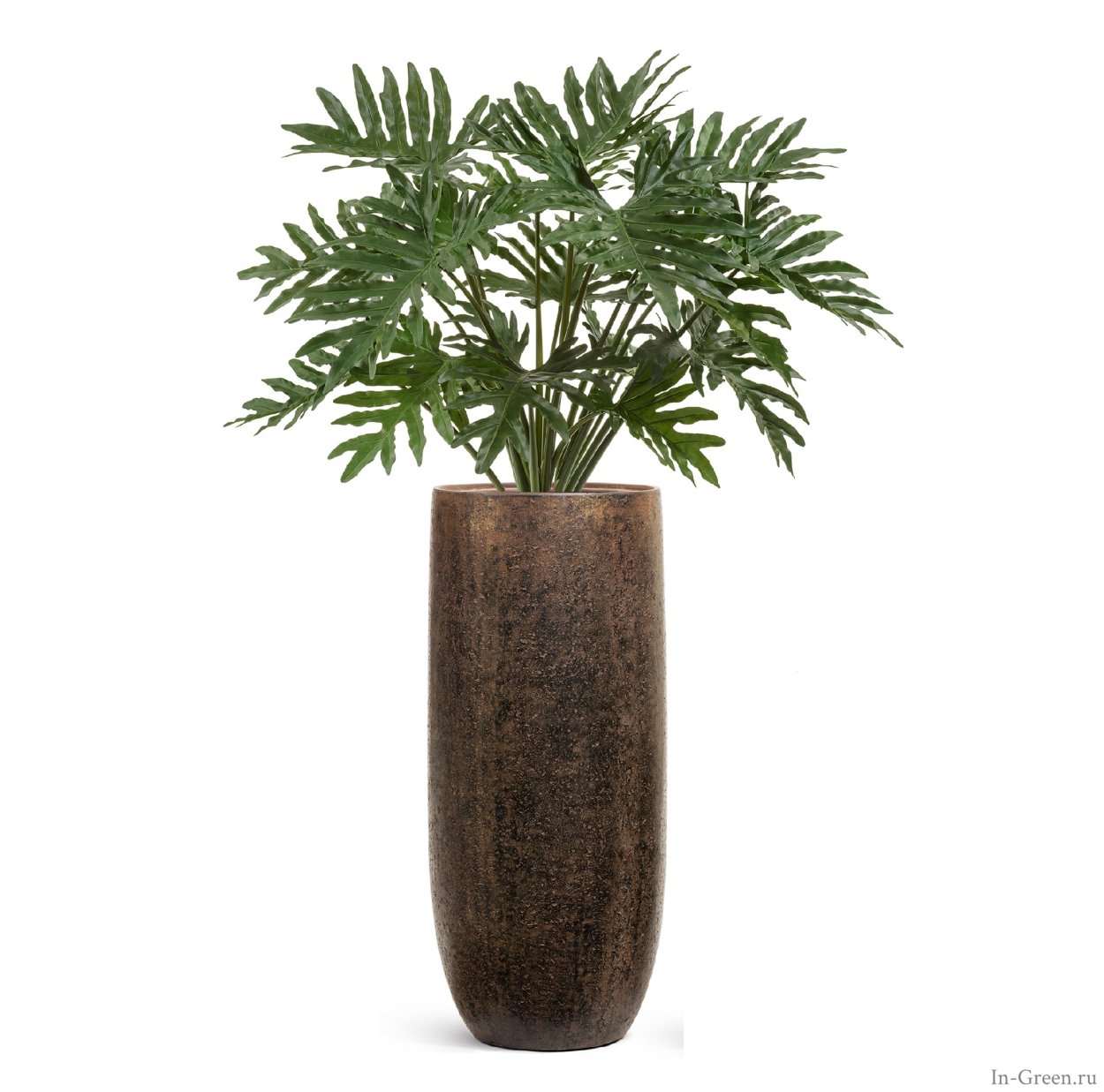 Филодендрон Ксанаду