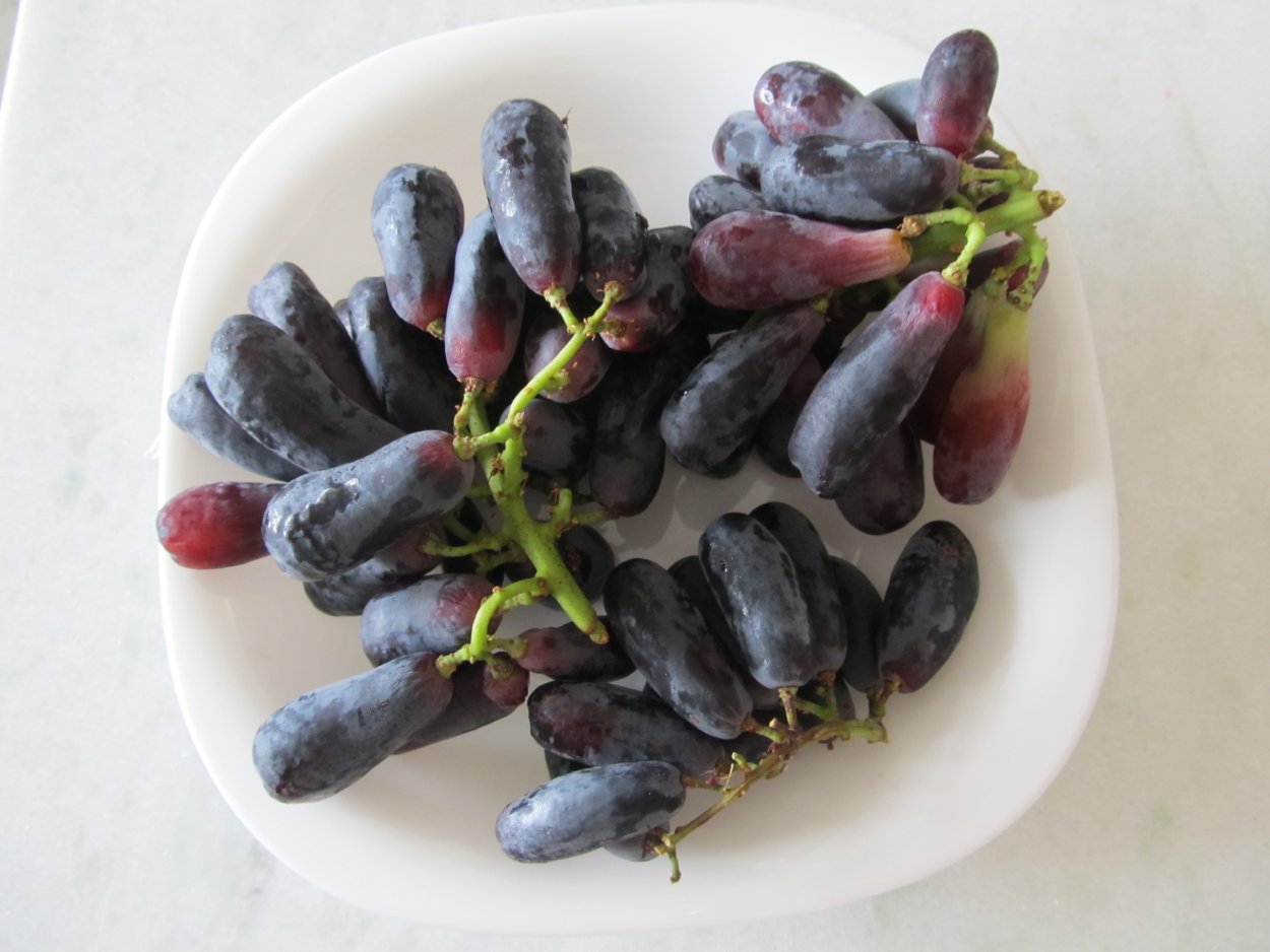 Виноградная гроздь дамские пальчики