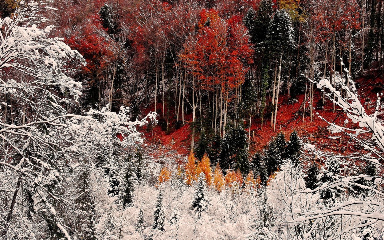 Ноябрь природа